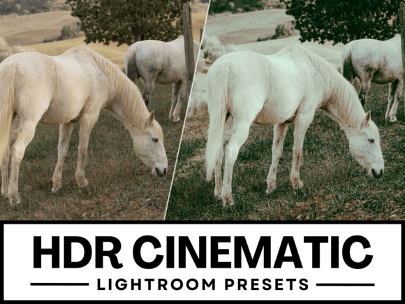 Download 3 HDR Cinematic Lightroom Presets - Cinematic Collection
